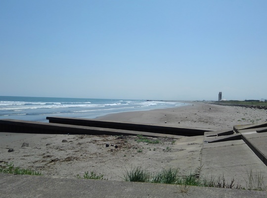 海